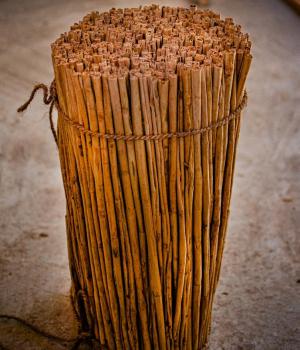 Ceylon Cinnamon Sticks – (Alba)