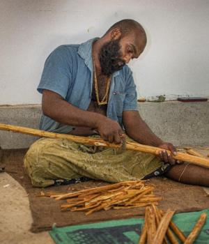 Ceylon Cinnamon Powder – Alba